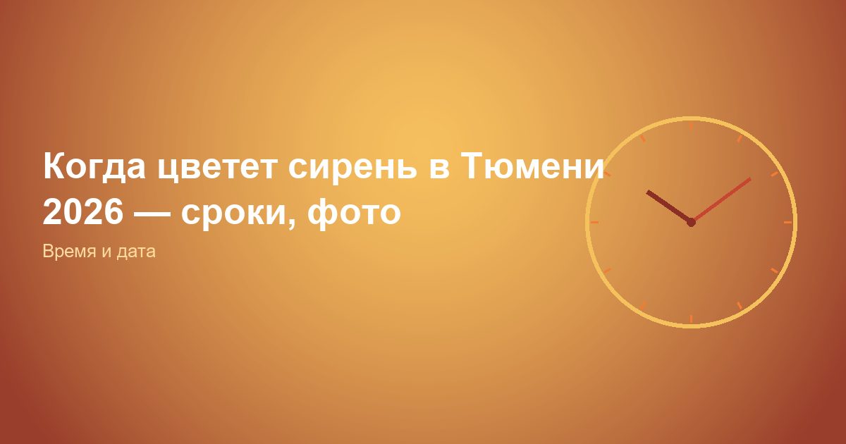 Когда цветет сирень в Тюмени 2026 — сроки, фото