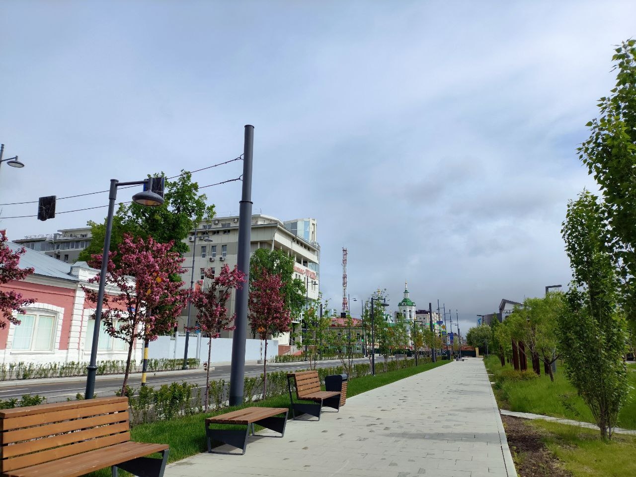 Сирень в Тюмени, фото